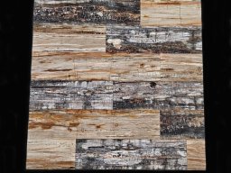 Petrified Wood Plank Flooring Ancient Wonder Meets Aerospace Innovation